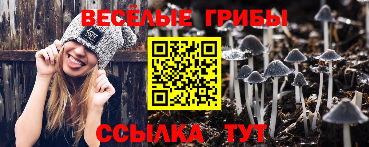Ярцево  Галлюциногенные грибы MAGIC MUSHROOMS  Галлюциногенные грибы мухоморы  Вход с VPN 